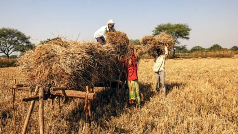 Govt initiates dialogue to resurrect agri sector exports in the aftermath of current COVID-19 crisis