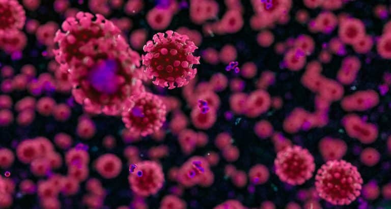 New research highlights blood clot dangers of COVID-19