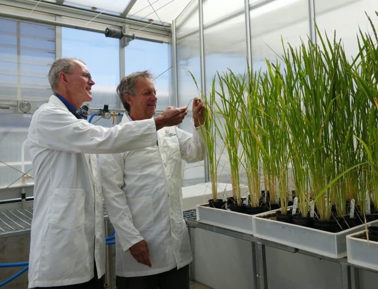 No time to waste to avoid future food shortagesNo time to waste to avoid future food shortages