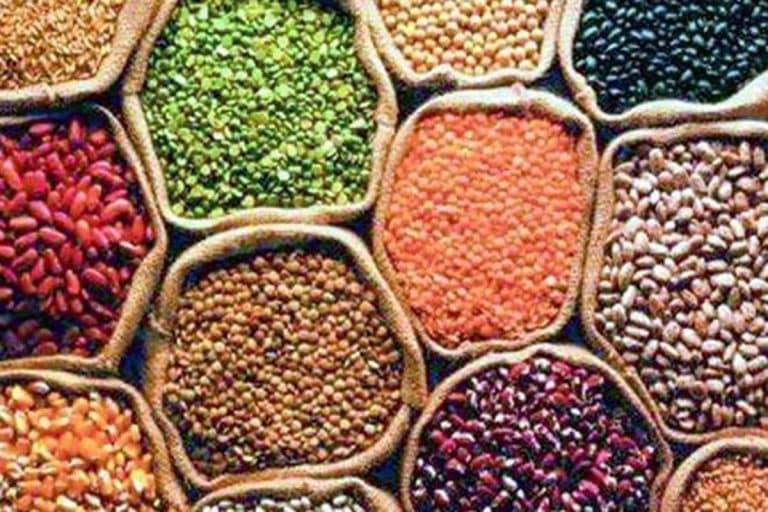Procurement of Pulses & Oilseeds on MSP