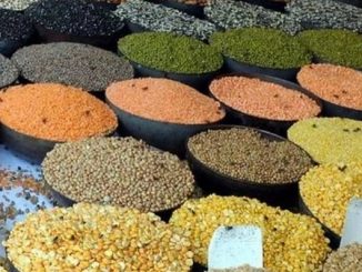 Procurement operations of Pulses and Oilseeds directly from Farmers at MSP