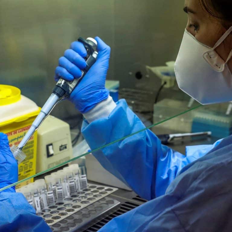 Scientists working on anti COVID drugs