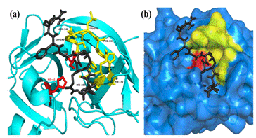 DST-SERB supports study for identification of structure-based potential