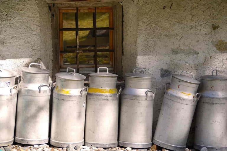 Interest subvention on Working Capital Loans for Dairy sector due