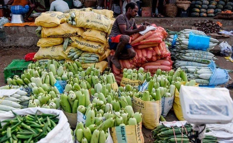More areas under Summer Crops over last year, procurement too rises despite lockdown