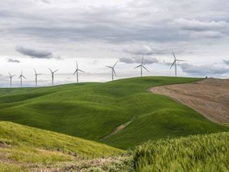 US wind plants show relatively low levels