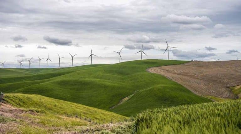 US wind plants show relatively low levels