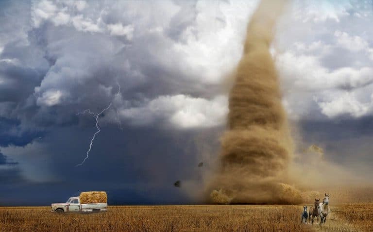 When natural disasters strike locally, urban networks spread the damage globally