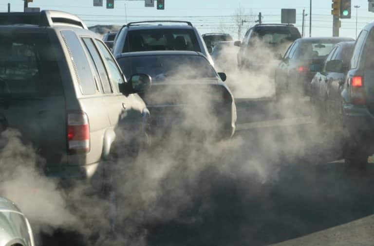 Air quality impacts early brain development