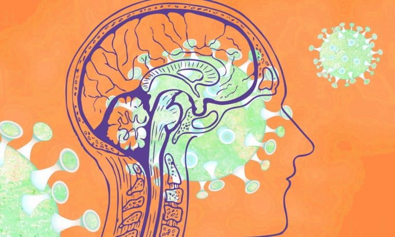 Clues to COVID-19 in the brain uncovered in new studyClues to COVID-19 in the brain uncovered in new study