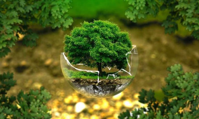 Environmental groups moving beyond conservation