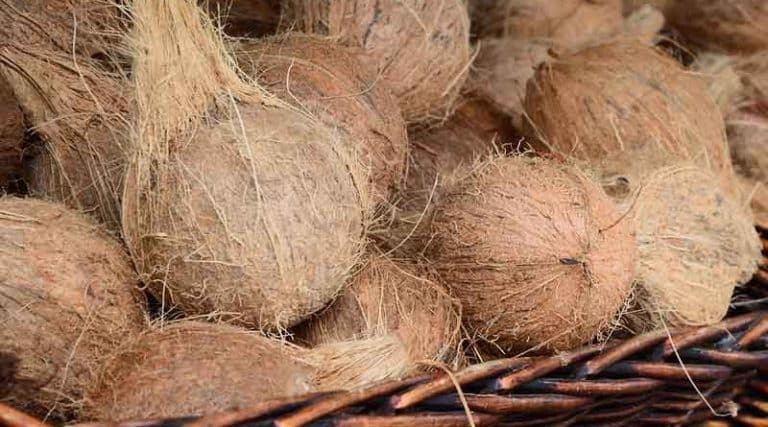 Government declares Minimum Support Price for Mature Dehusked Coconut