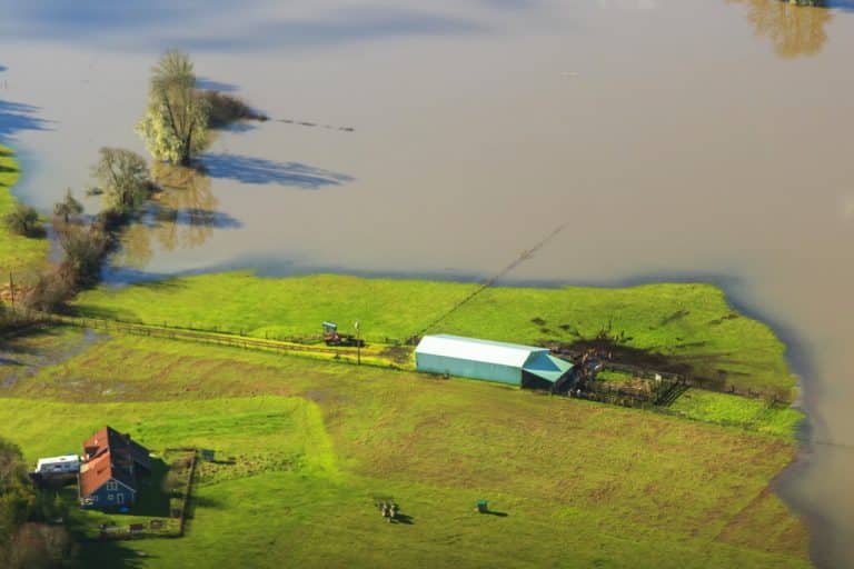 Modern sea-level rise linked to human activities