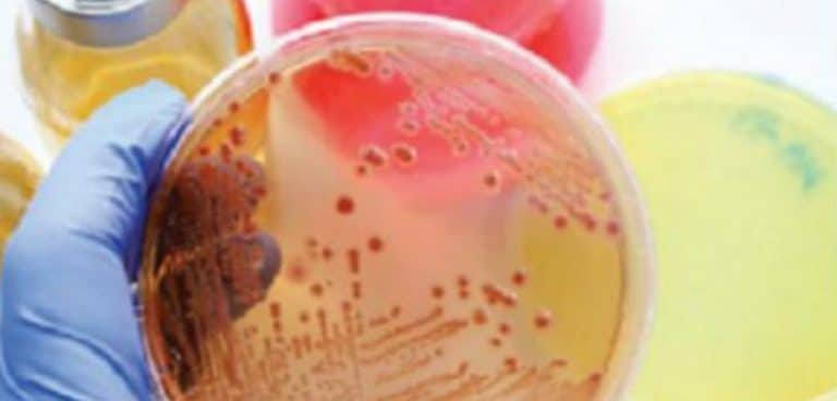New drug for amoebiasis in the offing