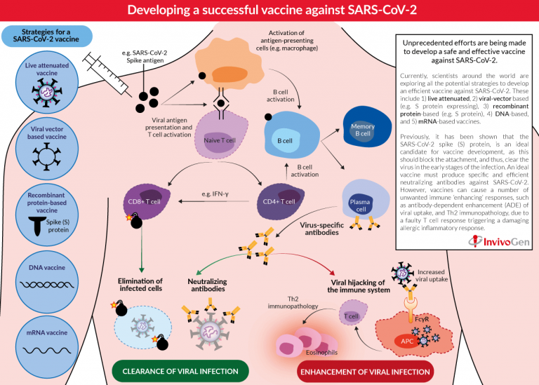 SARS lessons for COVID-19 vaccine design