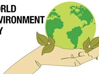 Virtual celebrations of the World Environment Day with focus on Urban