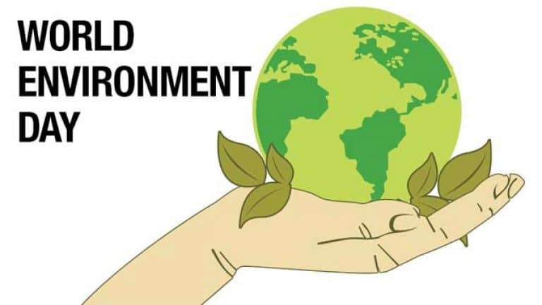Virtual celebrations of the World Environment Day with focus on Urban