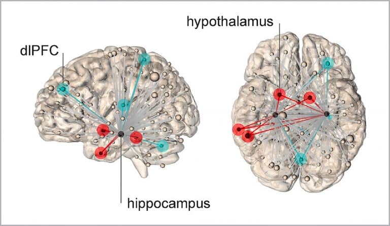 Yale University study on where stress lives