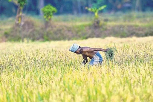 Department of Agriculture, Cooperation and Farmers Welfare, Government of India takes several measures to facilitate farmers and farming activities