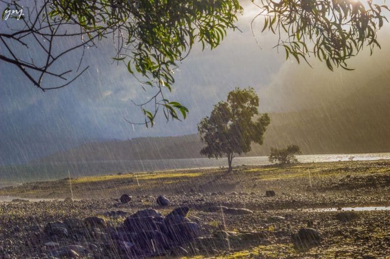 Divining monsoon rainfall months in advance with satellites
