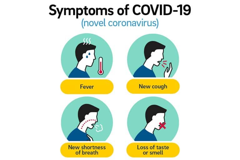Loss of smell and taste validated as COVID-19 symptoms