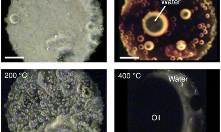 New insight into the origin of water on Earth