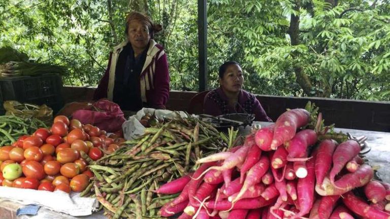 PM FME Scheme would leverage organic food producPM FME Scheme would leverage organic food production in north easttion in north east