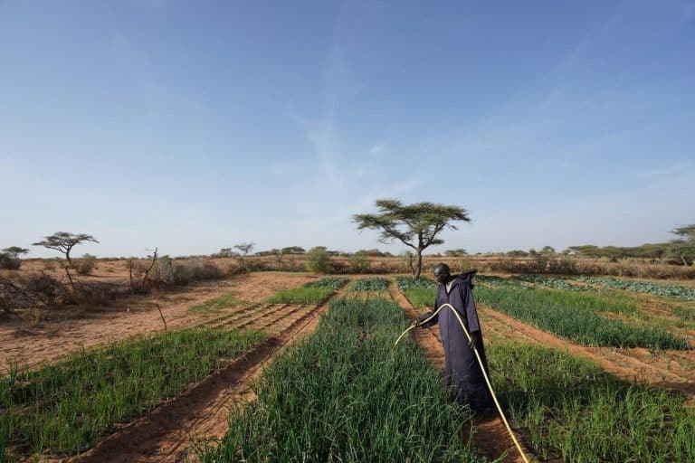 Pesticides speed the spread of deadly waterborne pathogens