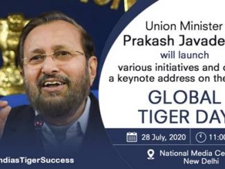 Union Environment Minister to release detailed report of Tiger Census on the eve of Global Tiger Day