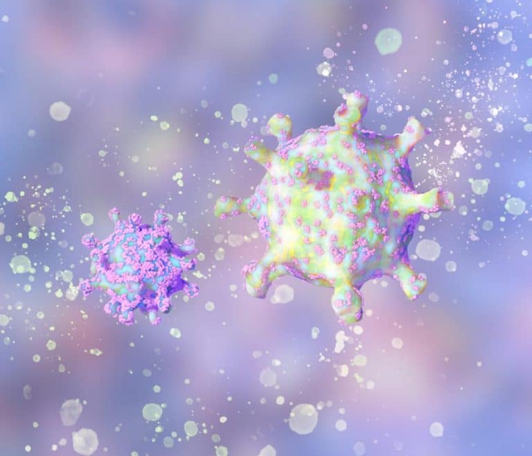 Airborne viruses can spread on dust, non-respiratory particles