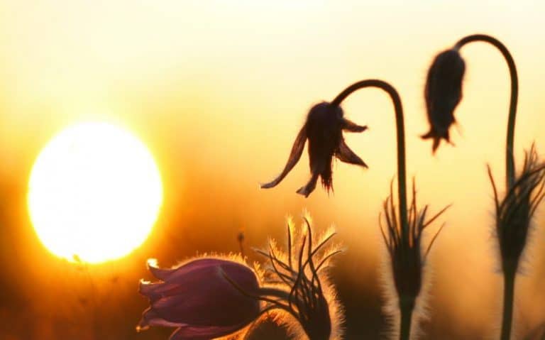 International analysis narrows range of climate