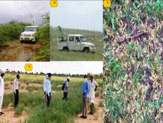 Locust control operations have been done in more than 5.66 lakh hectares