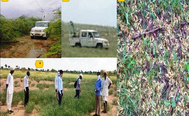 Locust control operations have been done in more than 5.66 lakh hectares