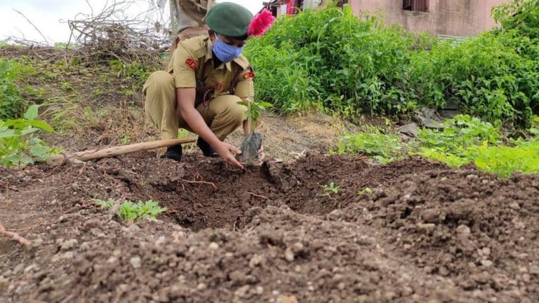 Maharashtra NCC Directorate plants over 37,000 saplings during plantation