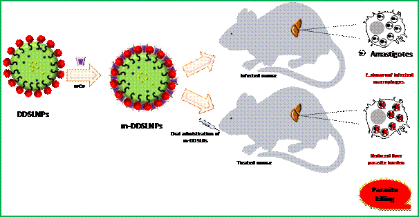 Oral nanomedicine may bring relieOral nanomedicine may bring relief for Kala-Azarr Kala-Azar