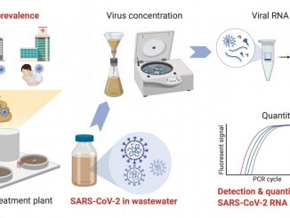 SARS-CoV-2 RNA detected in untreated wastewater from Louisiana