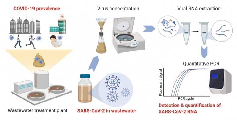 SARS-CoV-2 RNA detected in untreated wastewater from Louisiana