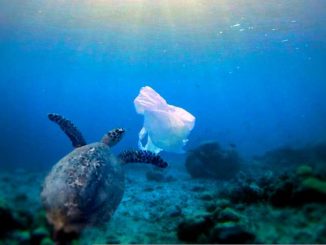 Surface clean-up technology won't solve ocean plastic problem