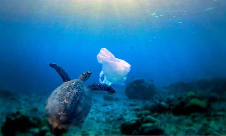 Surface clean-up technology won't solve ocean plastic problem