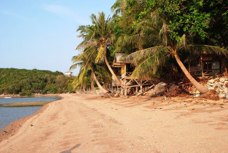 Sea Tropics Sand Beach Beach House Palm Trees