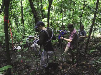 Warming threat to tropical forests risks release