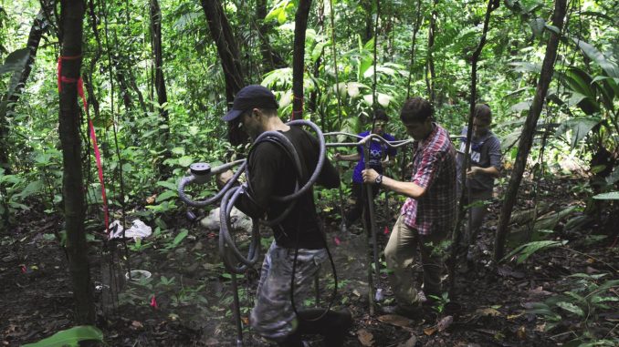 Warming threat to tropical forests risks release