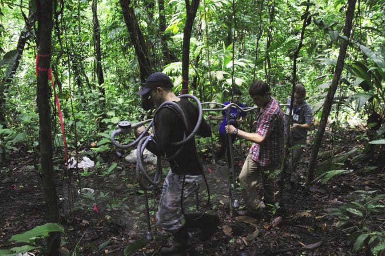 Warming threat to tropical forests risks release