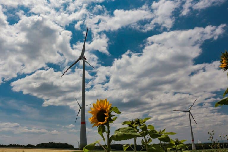 Civilization may need to 'forget the flame' to reduce CO2