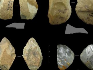 How Neanderthals adjusted to climate change