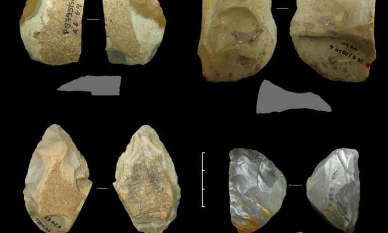 How Neanderthals adjusted to climate change