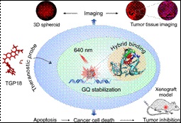 JNCASR researchers develop diagnostic therapyfor Lung Cancer