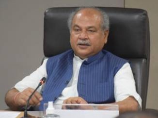 Narendra Singh Tomar launches 22 bamboo clusters