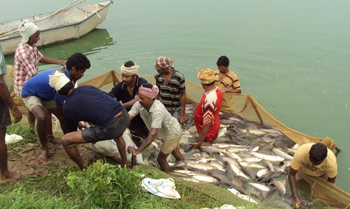 Promotion of Aquaculture