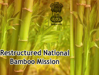 Restructured National Bamboo Mission(NBM)